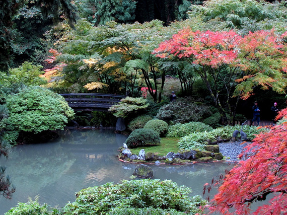 Jardines japoneses: comunión con la naturaleza